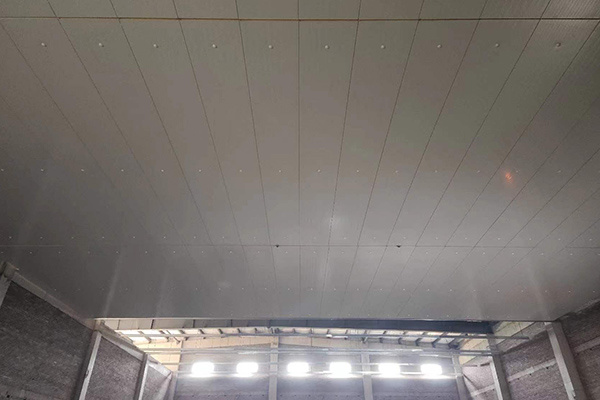 冷(lěng)藏庫庫闆